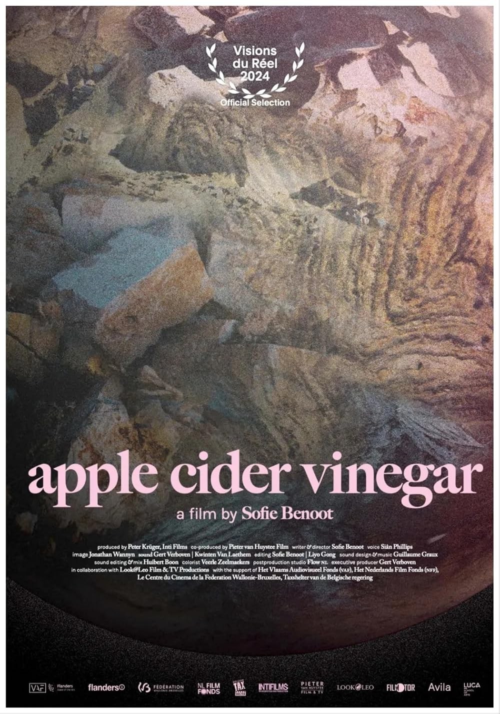 Poster de APPLE CIDER VINEGAR