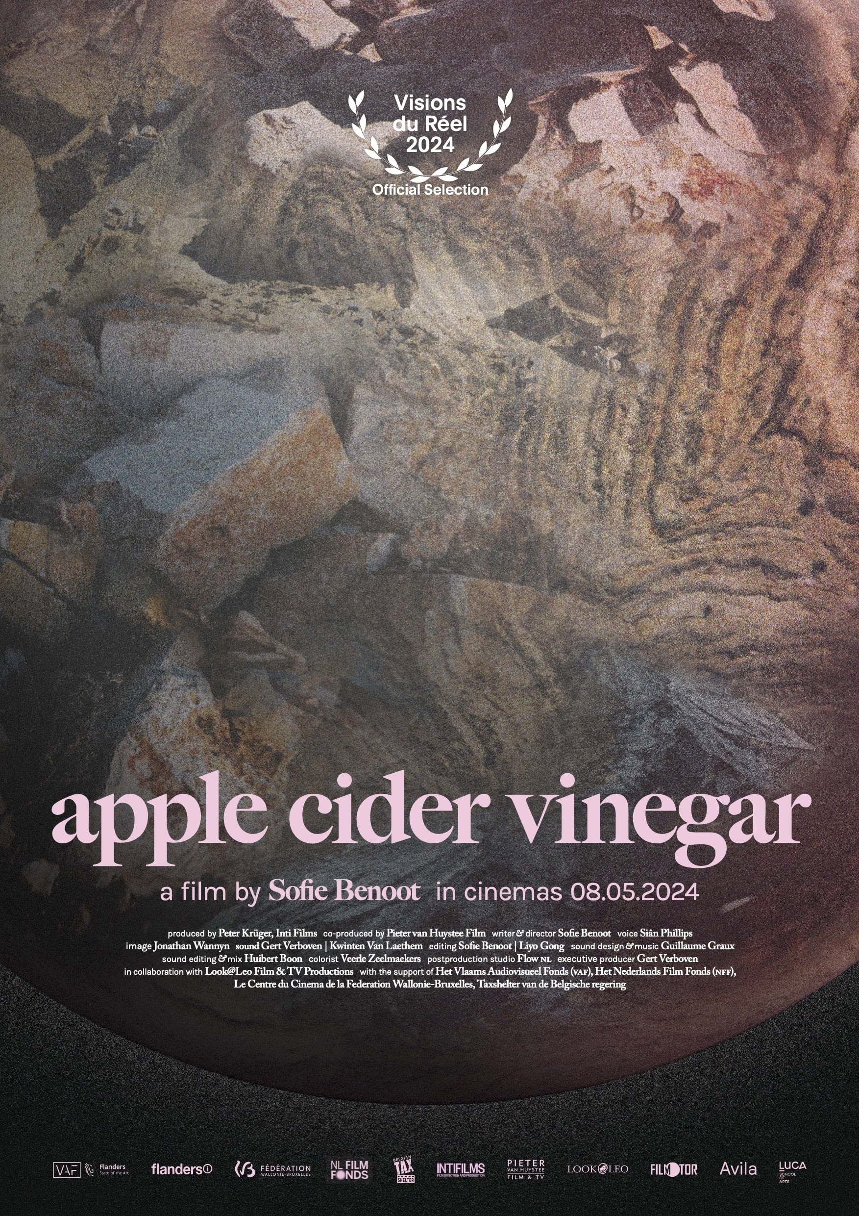 Poster de APPLE CIDER VINEGAR en inglés