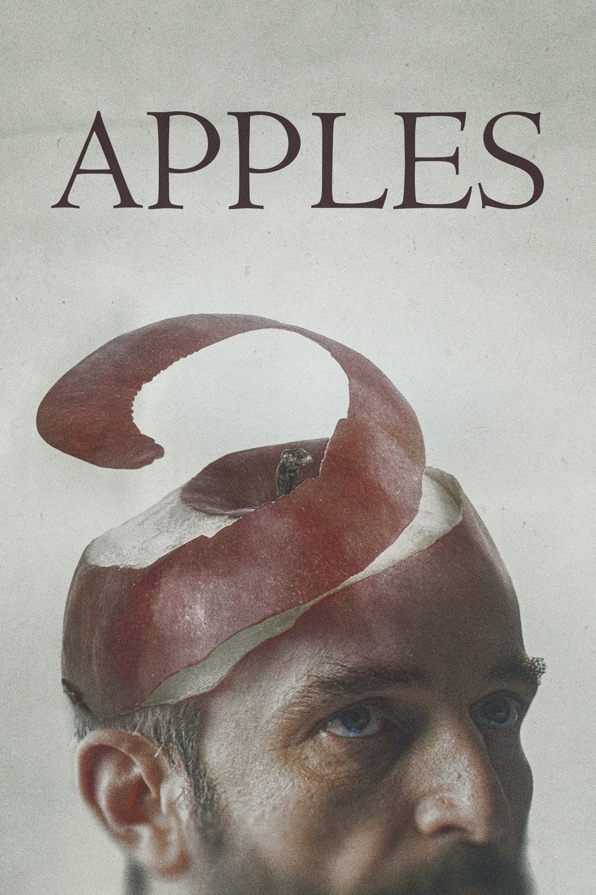Poster de APPLES en inglés