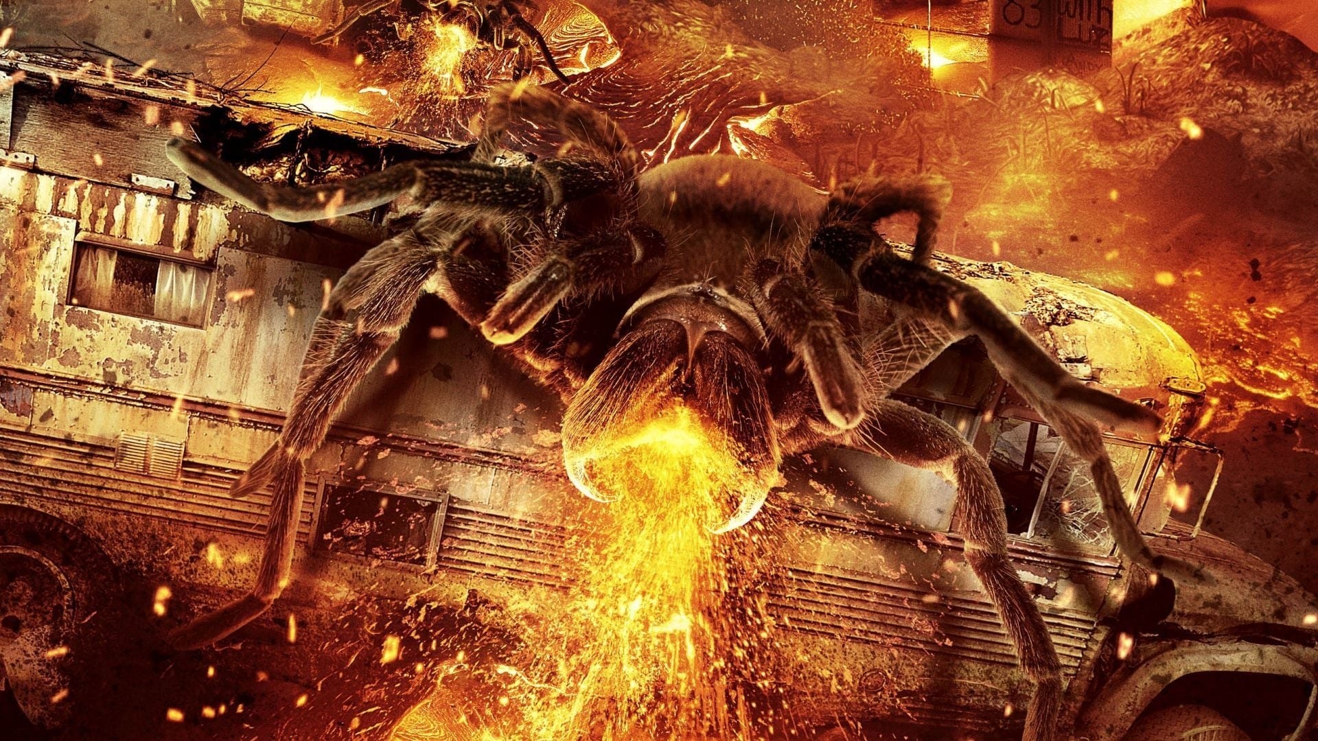 Foto de ARACNO TERREMOTO