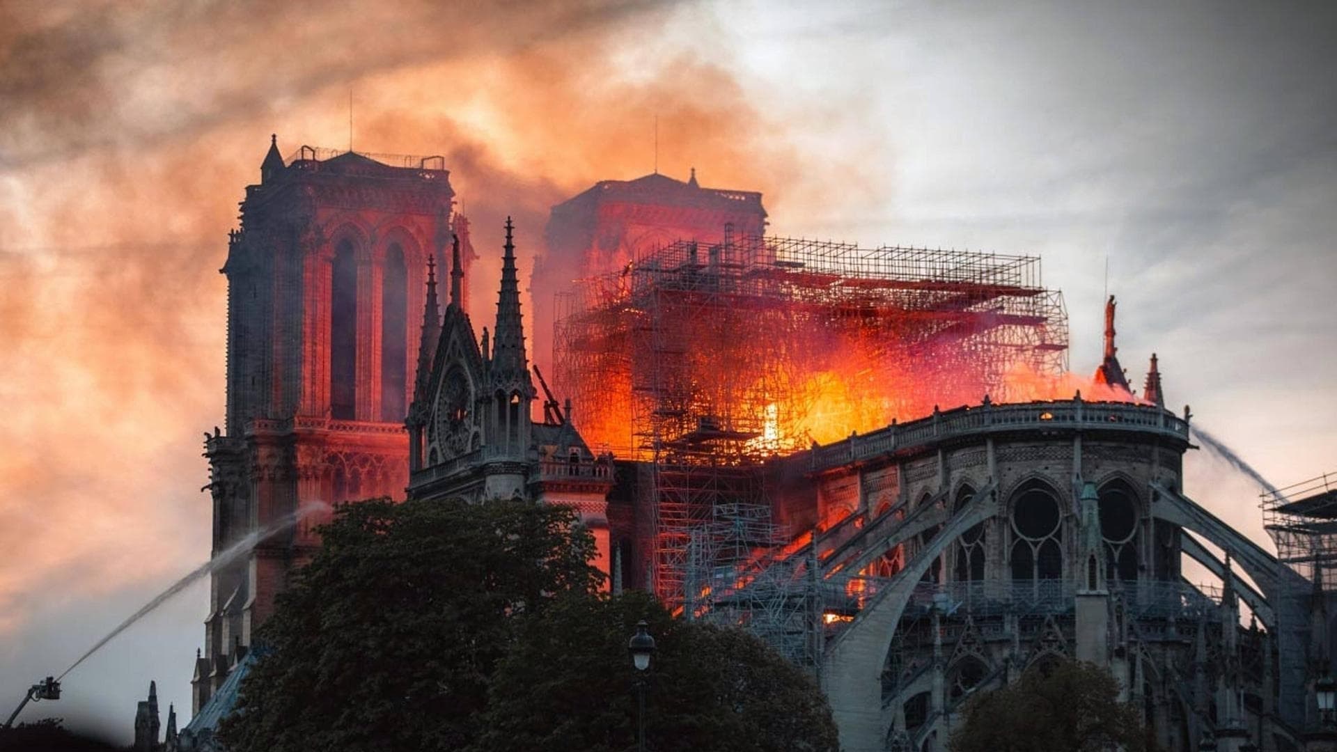 Foto de ARDE NOTRE-DAME