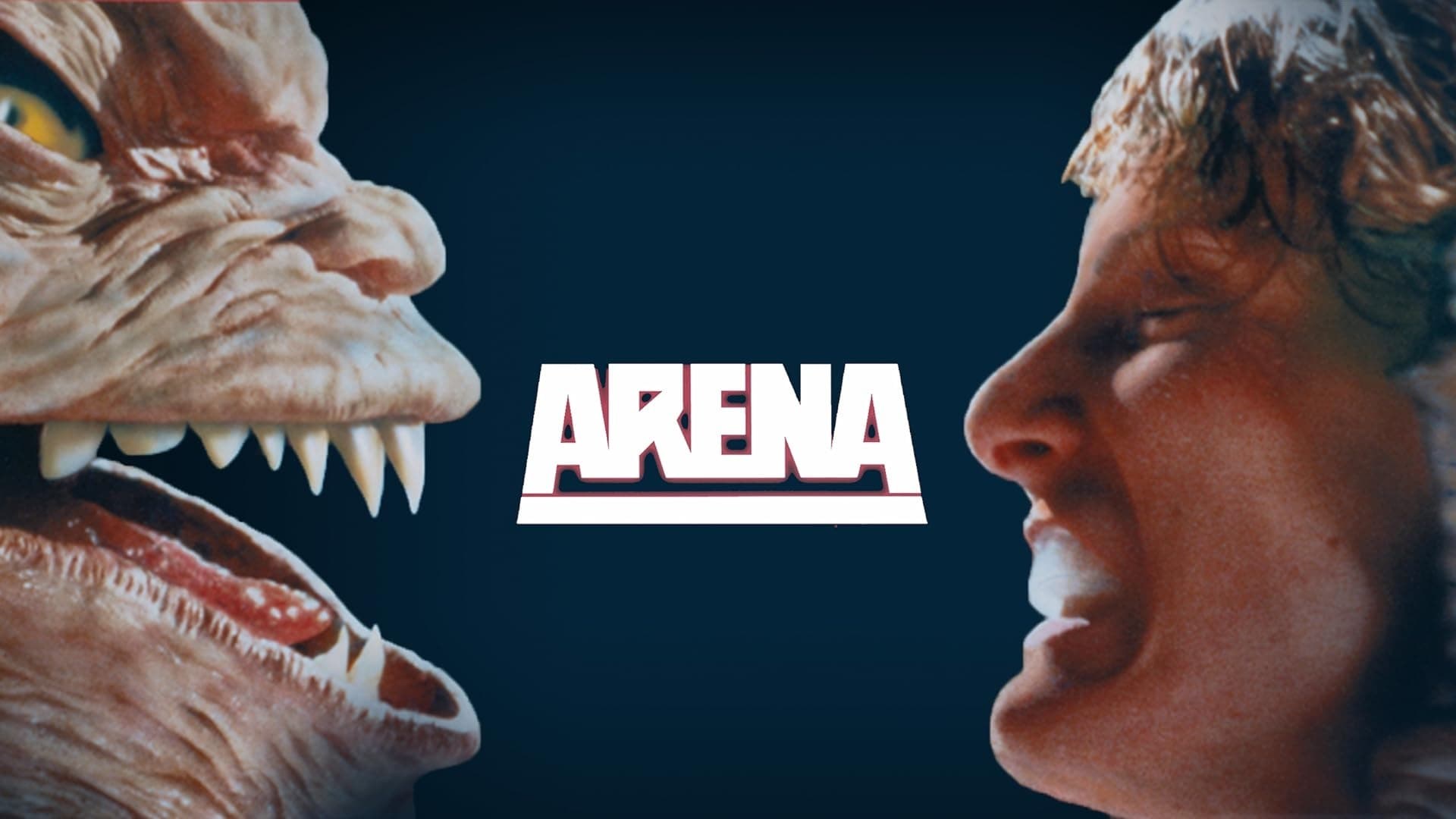 Foto de ARENA, RING DE LAS GALAXIAS