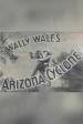 Arizona Cyclone