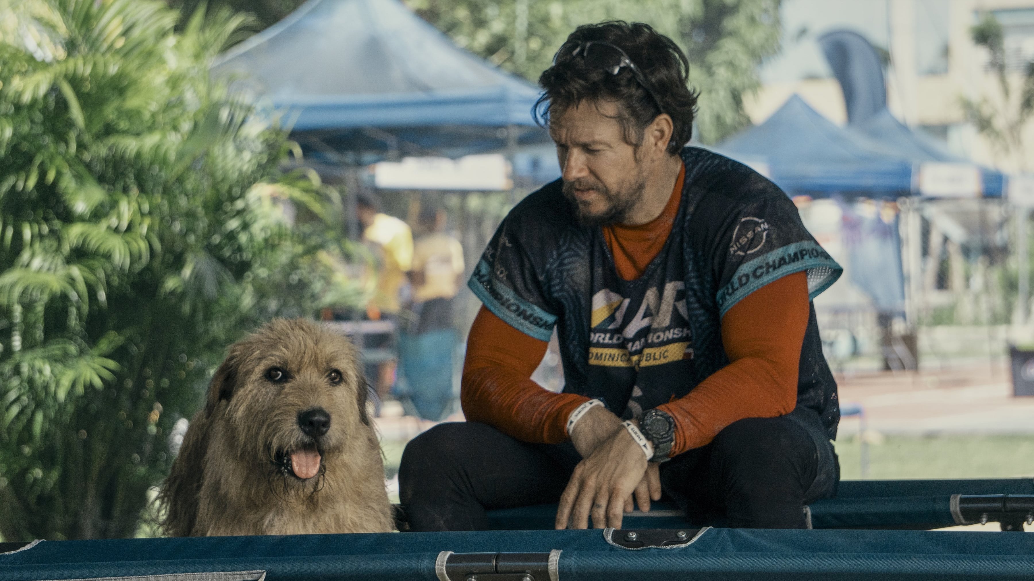 Foto de ARTHUR