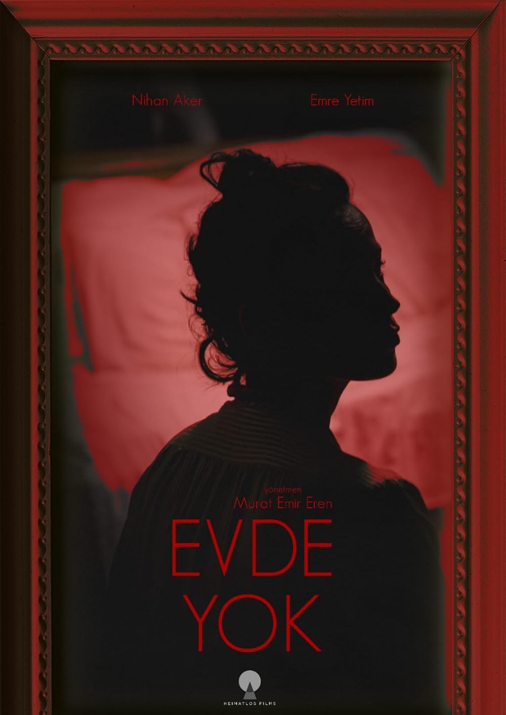 Poster de EVDE YOK