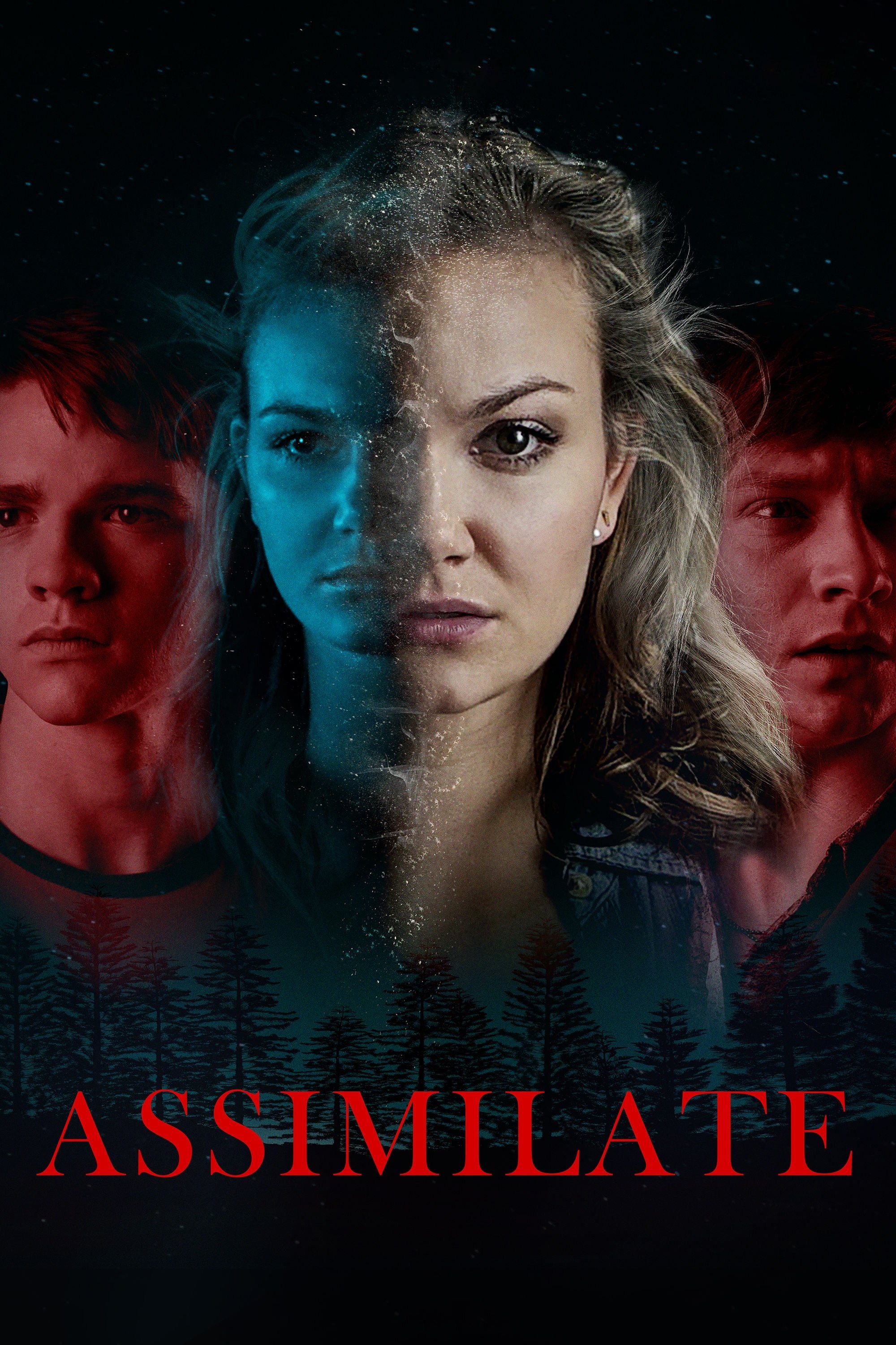 Poster de ASSIMILATE en inglés