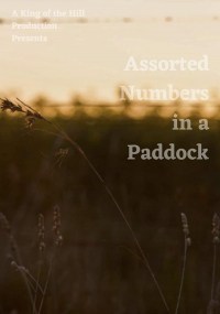 Assorted Numbers in a Paddock