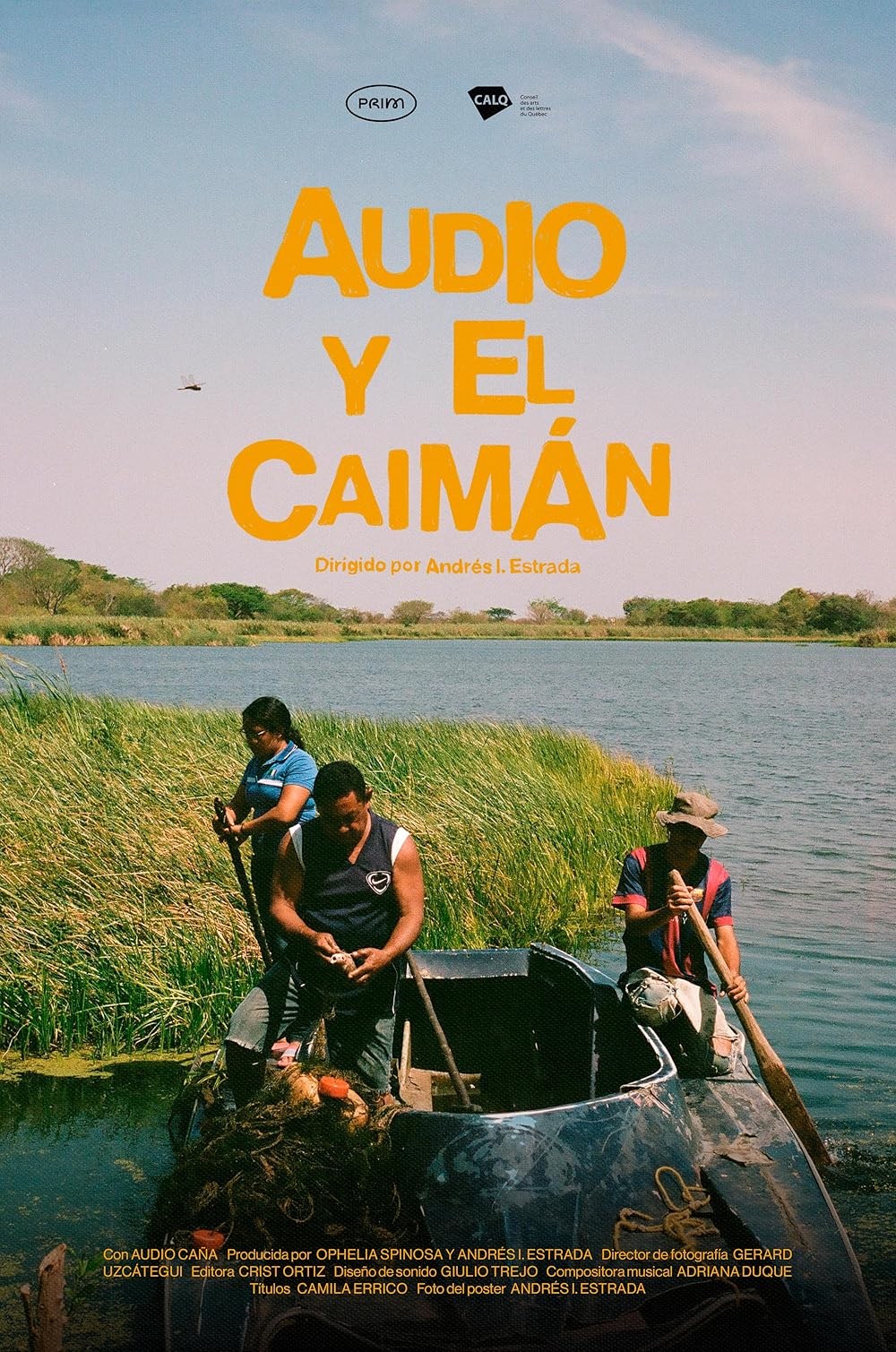 Poster de AUDIO Y EL CAIMÁN