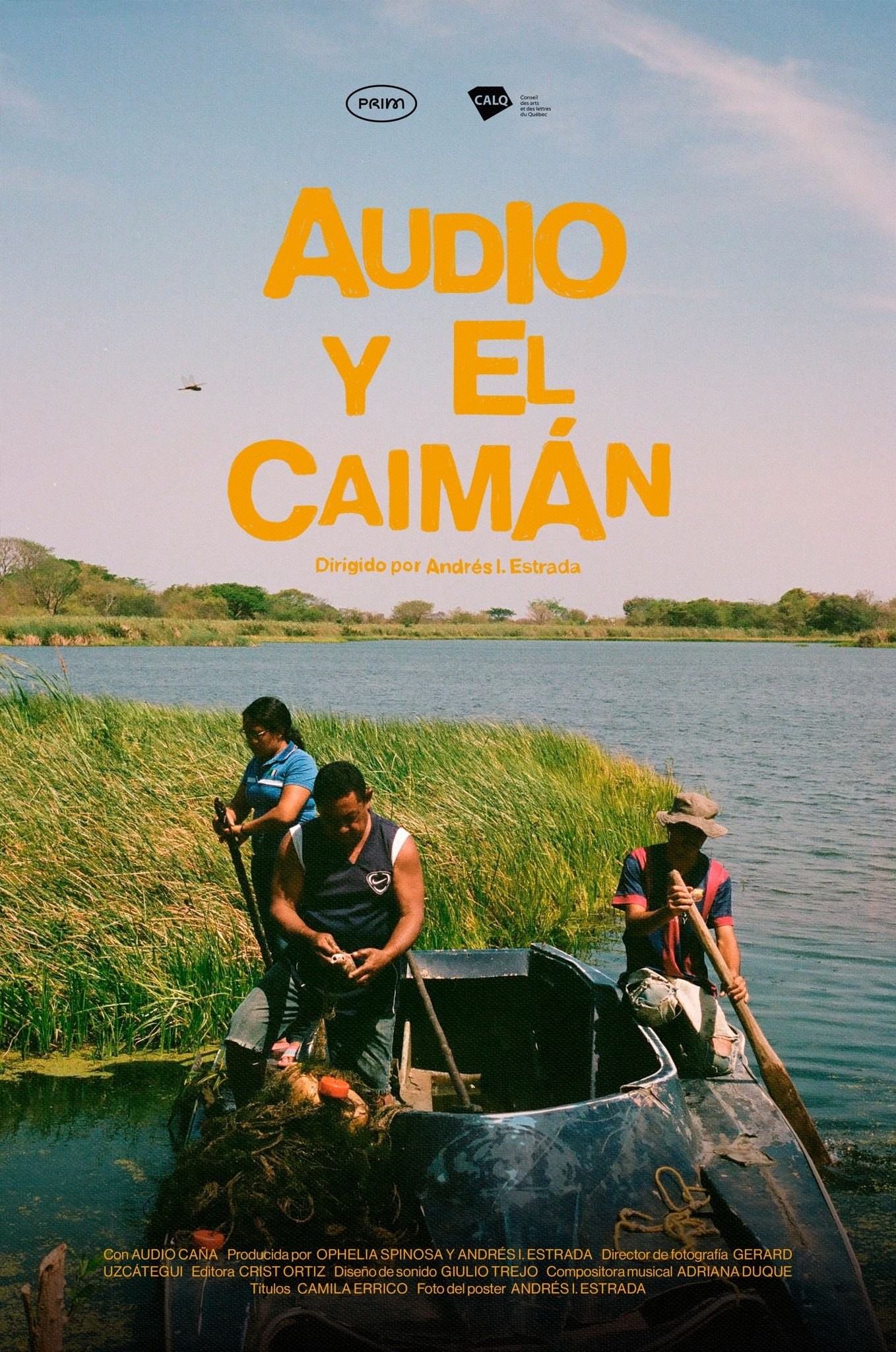 Poster de AUDIO Y EL CAIMÁN