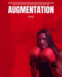 Augmentation
