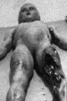 Autopsia a un extraterrestre