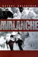 Nature Unleashed: Avalanche