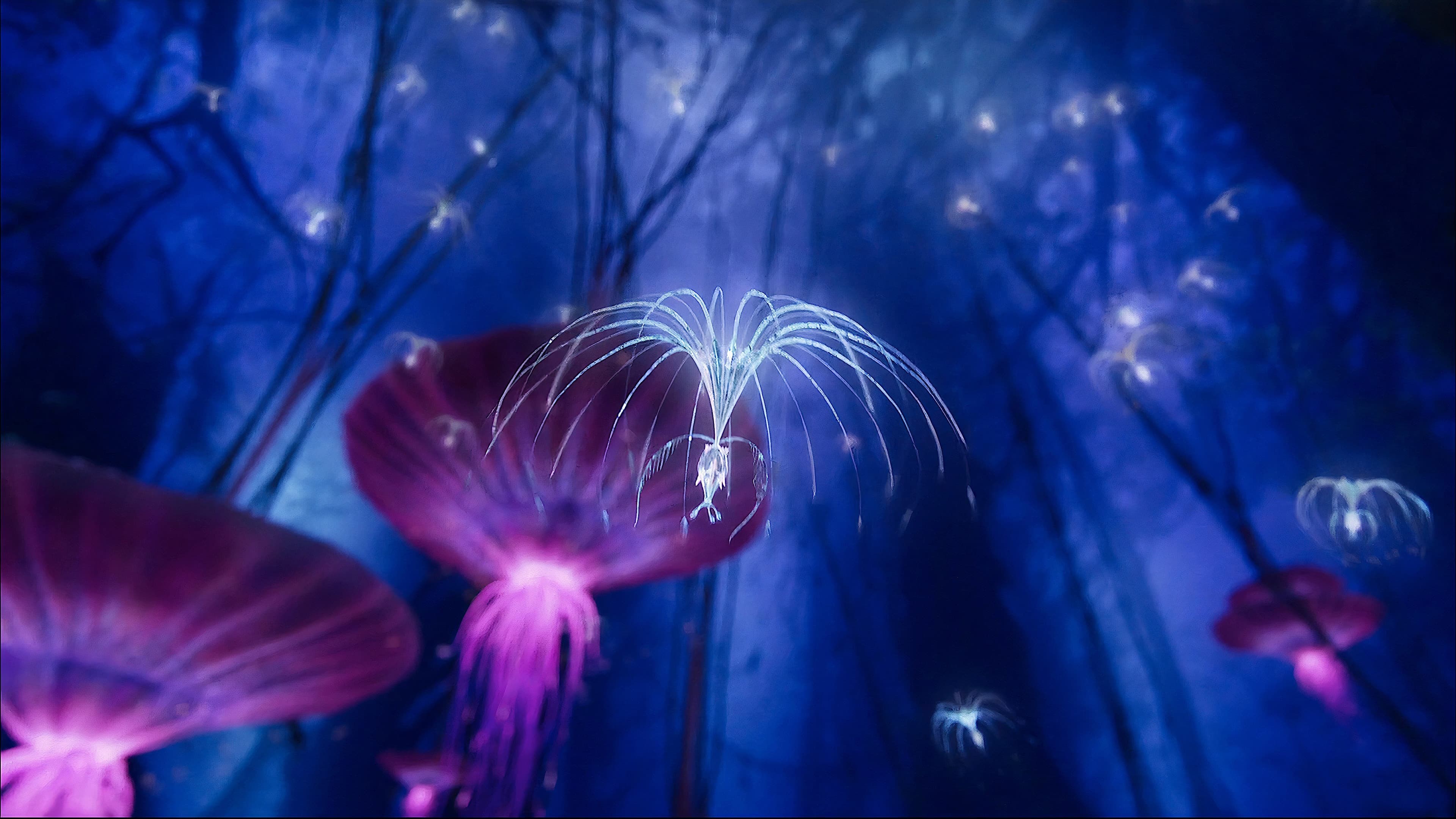 Foto de AVATAR: LA CREACIÓN DEL MUNDO DE PANDORA