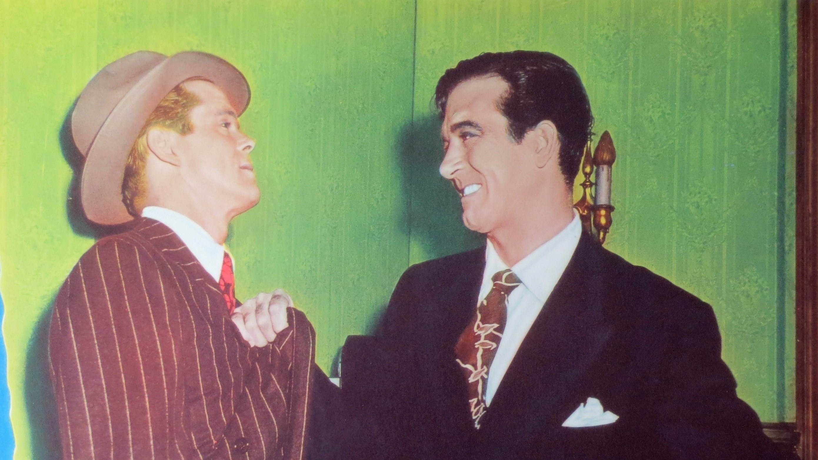 Foto de AVES DE RAPIÑA