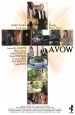 Avow