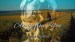 Away from You - Cherie Laurent