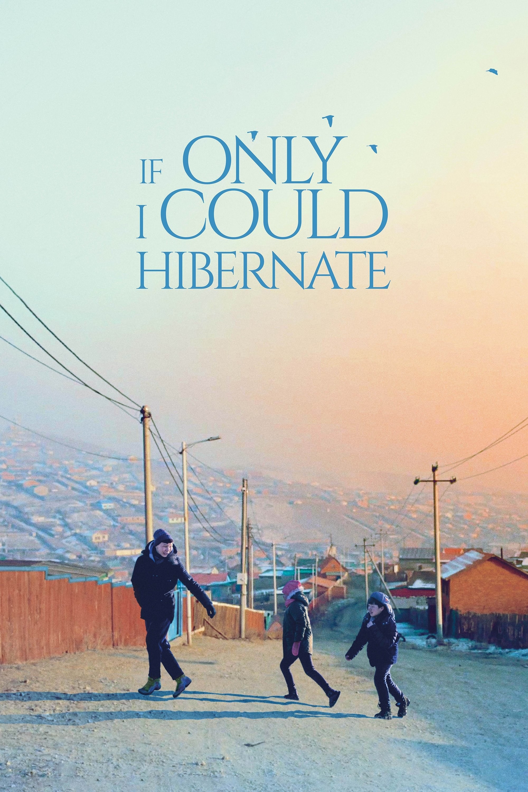 Poster de SI YO PUDIERA HIBERNAR en inglés