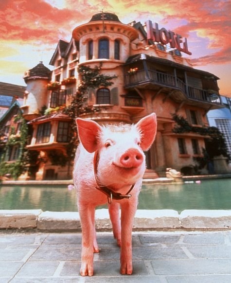 Poster de BABE: EL CERDITO EN LA CIUDAD