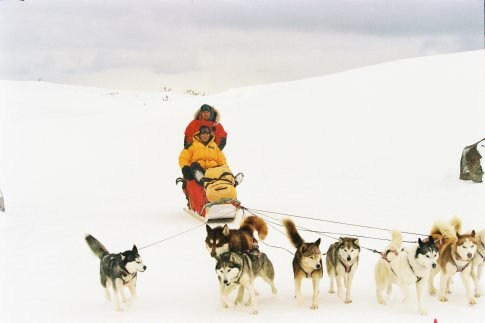 Foto de Rescate en la Antártida