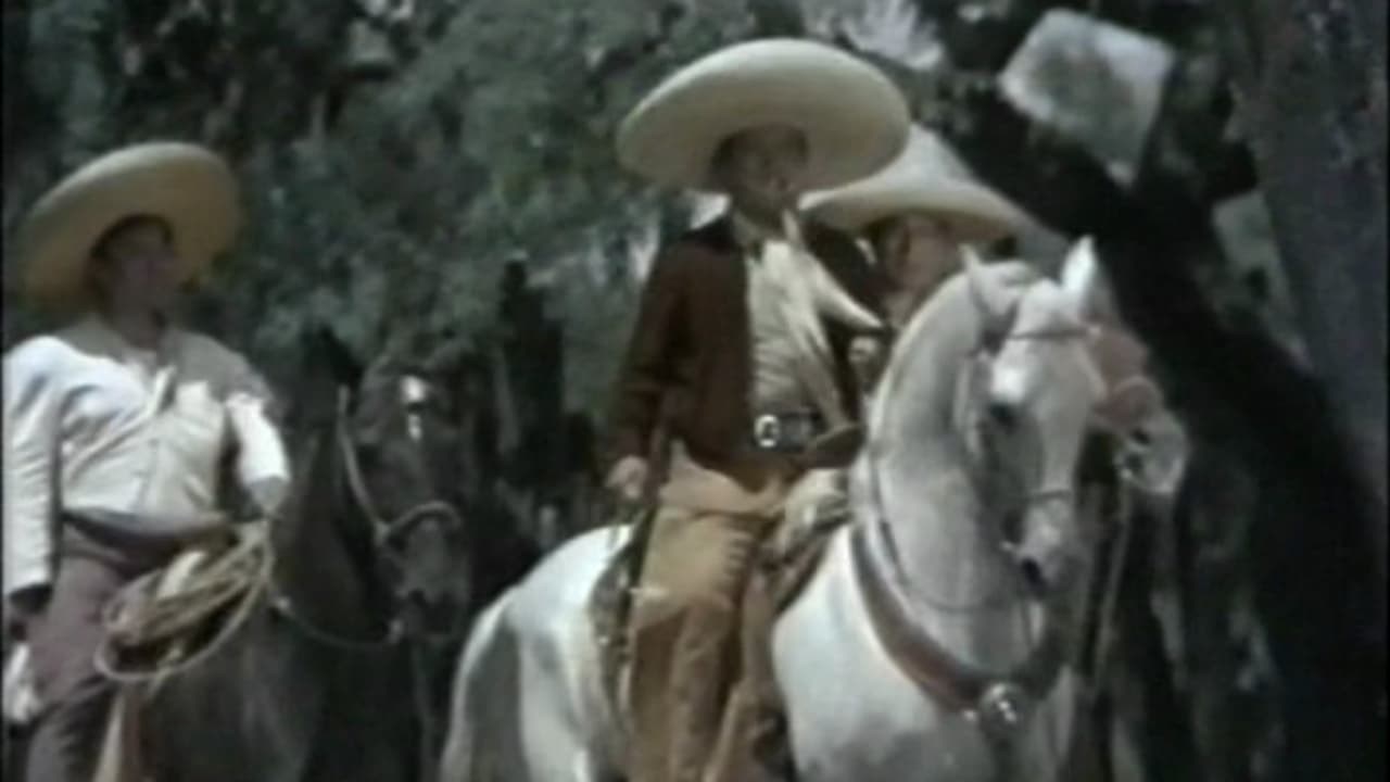 Foto de BALA PERDIDA