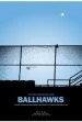 Ballhawks