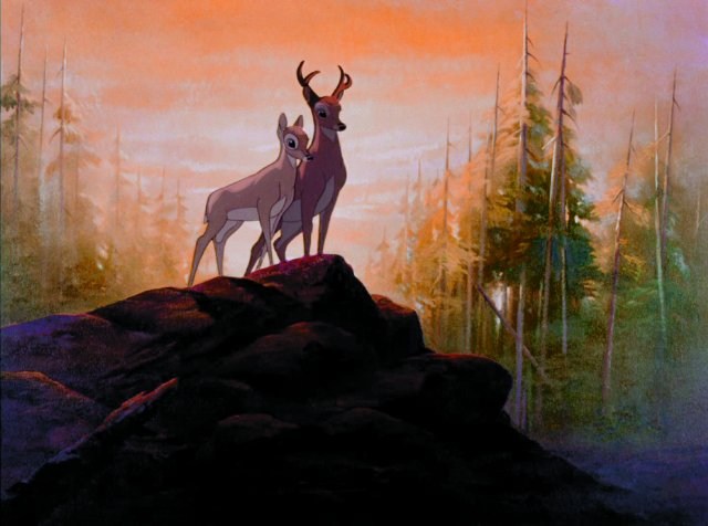 Foto de BAMBI