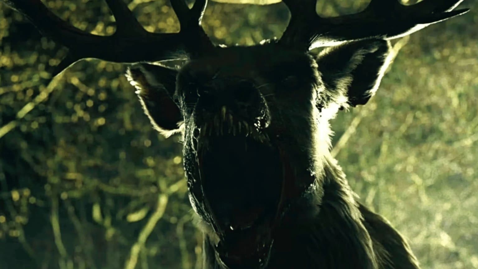 Foto de BAMBI: LA VENGANZA