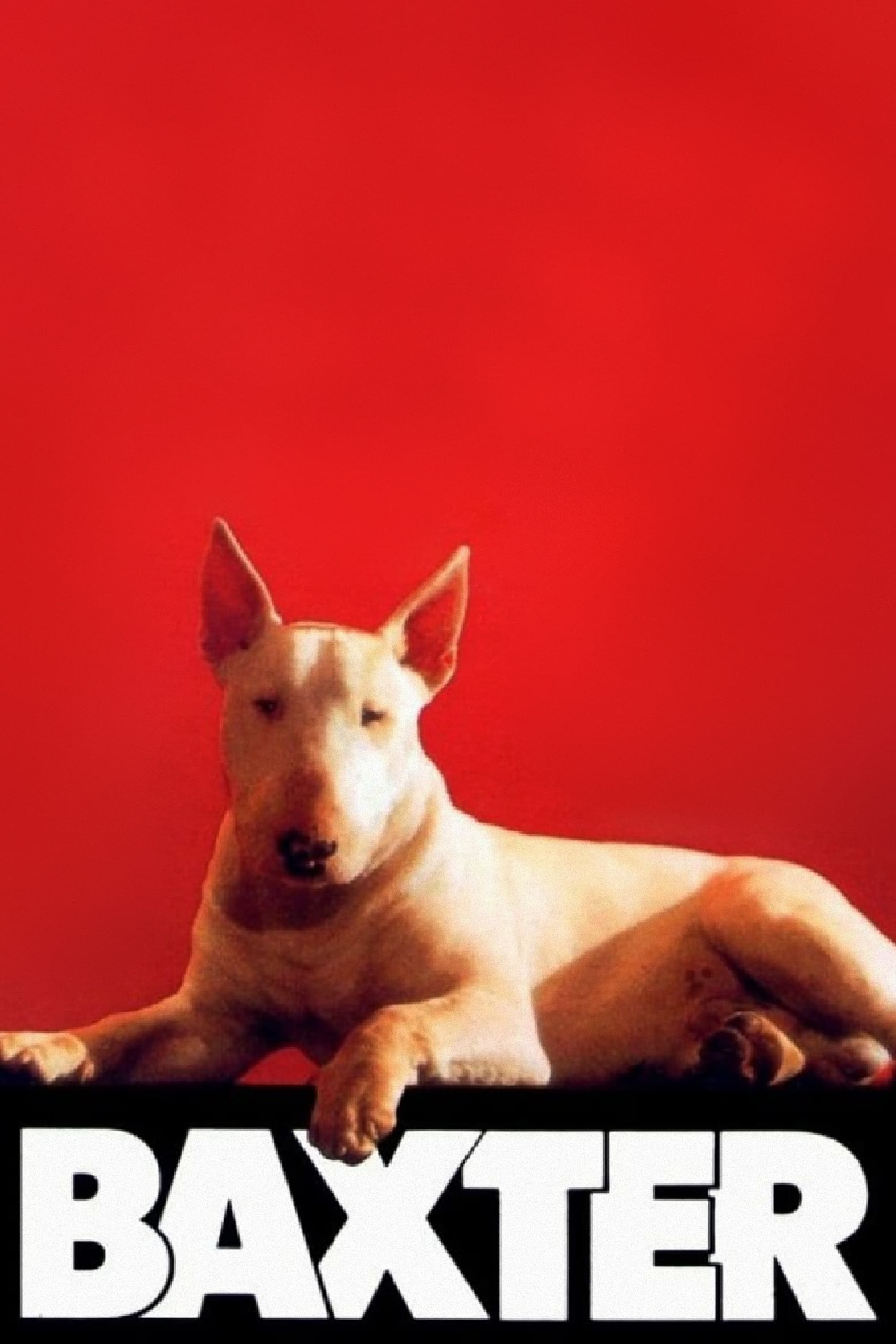 Poster de BAXTER en inglés