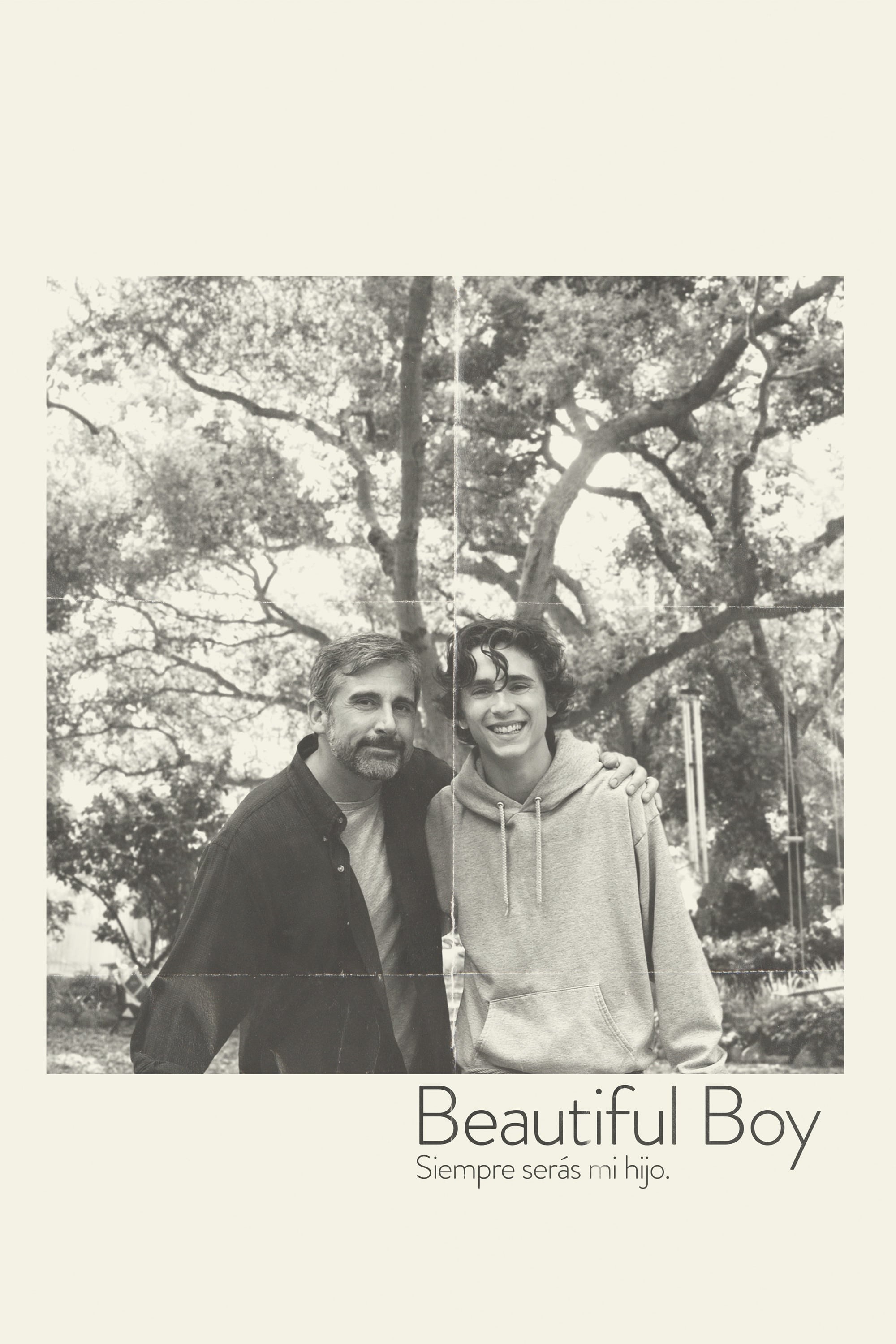 Poster de BEAUTIFUL BOY, SIEMPRE SERÁS MI HIJO en español