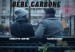 Bébé Carbone