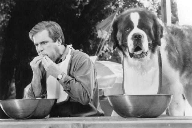 Foto de BEETHOVEN 2: LA FAMILIA CRECE