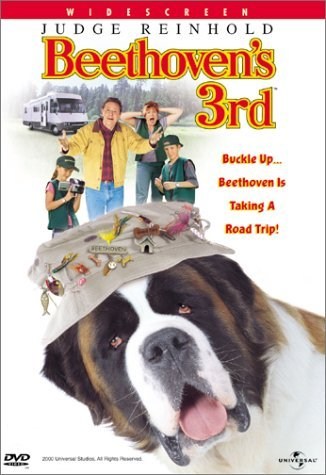 Poster de BEETHOVEN 3: DE EXCURSIÓN CON LA FAMILIA