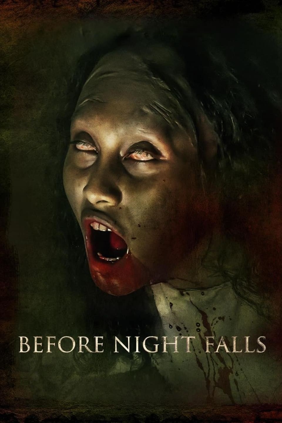 Poster de BEFORE NIGHT FALLS