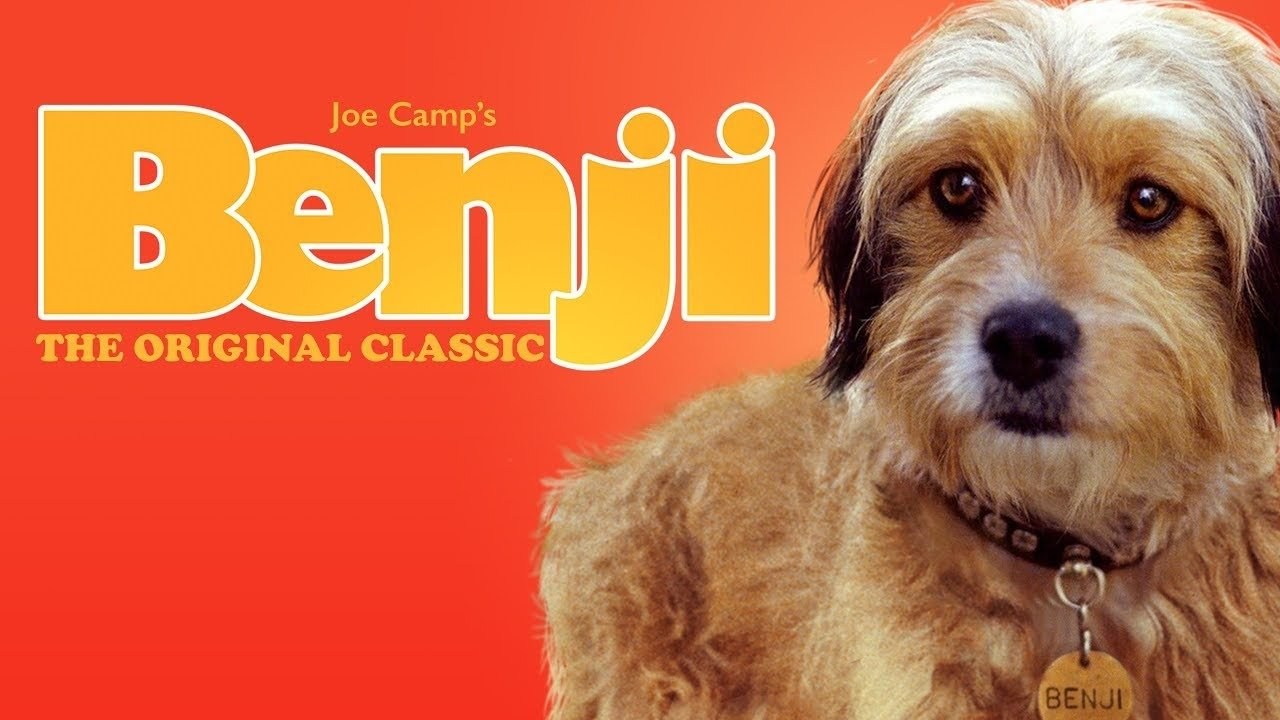 Foto de BENJI