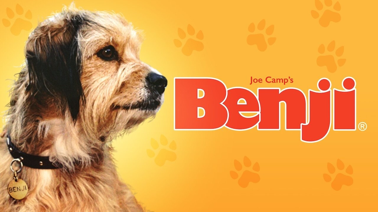 Foto de BENJI