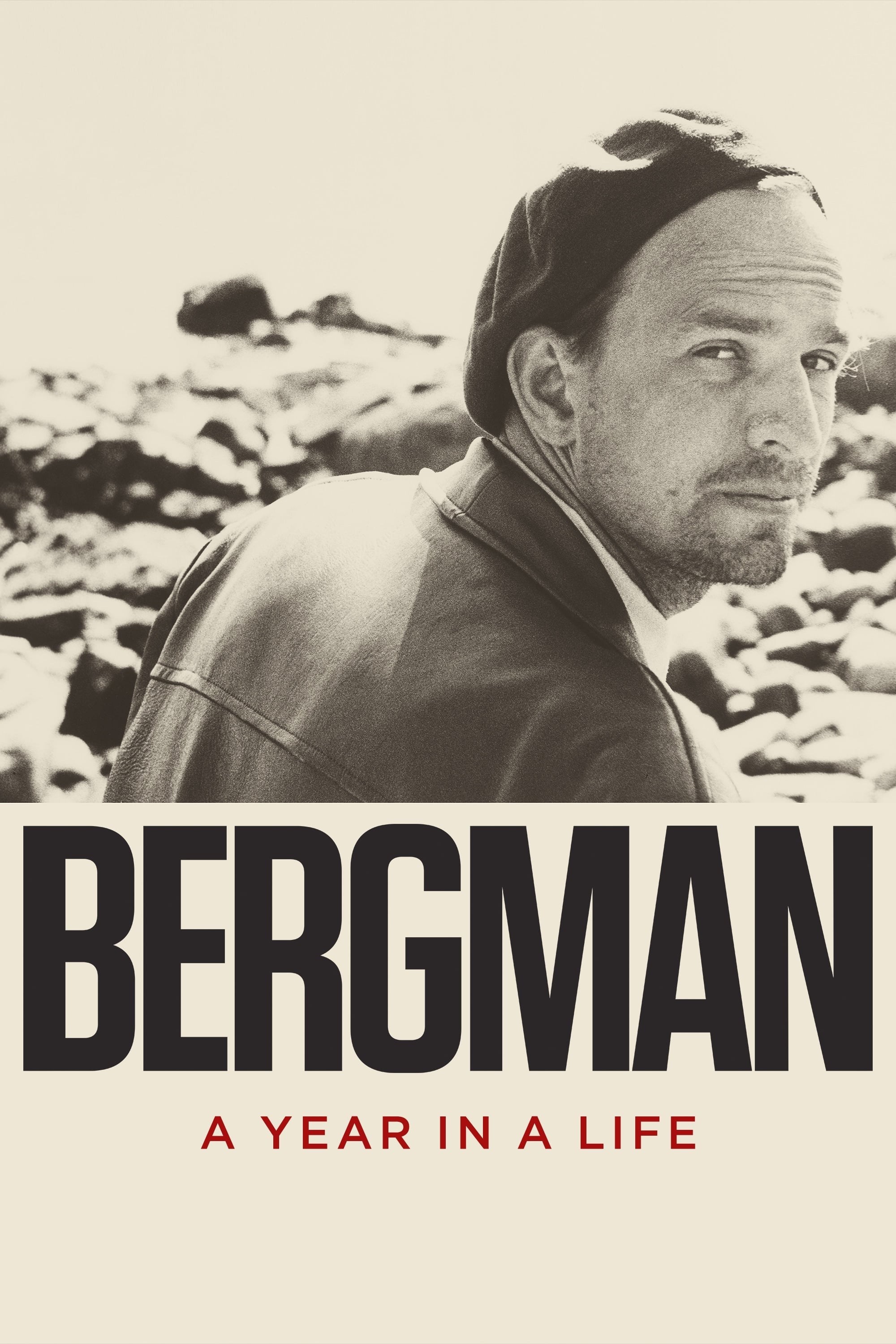 Poster de BERGMAN, SU GRAN AÑO en inglés