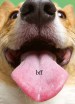 Best Friend