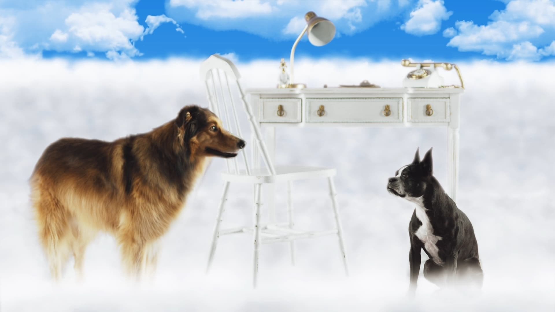 Foto de BEST FRIEND FROM HEAVEN
