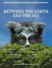 Between the Earth and the Sky