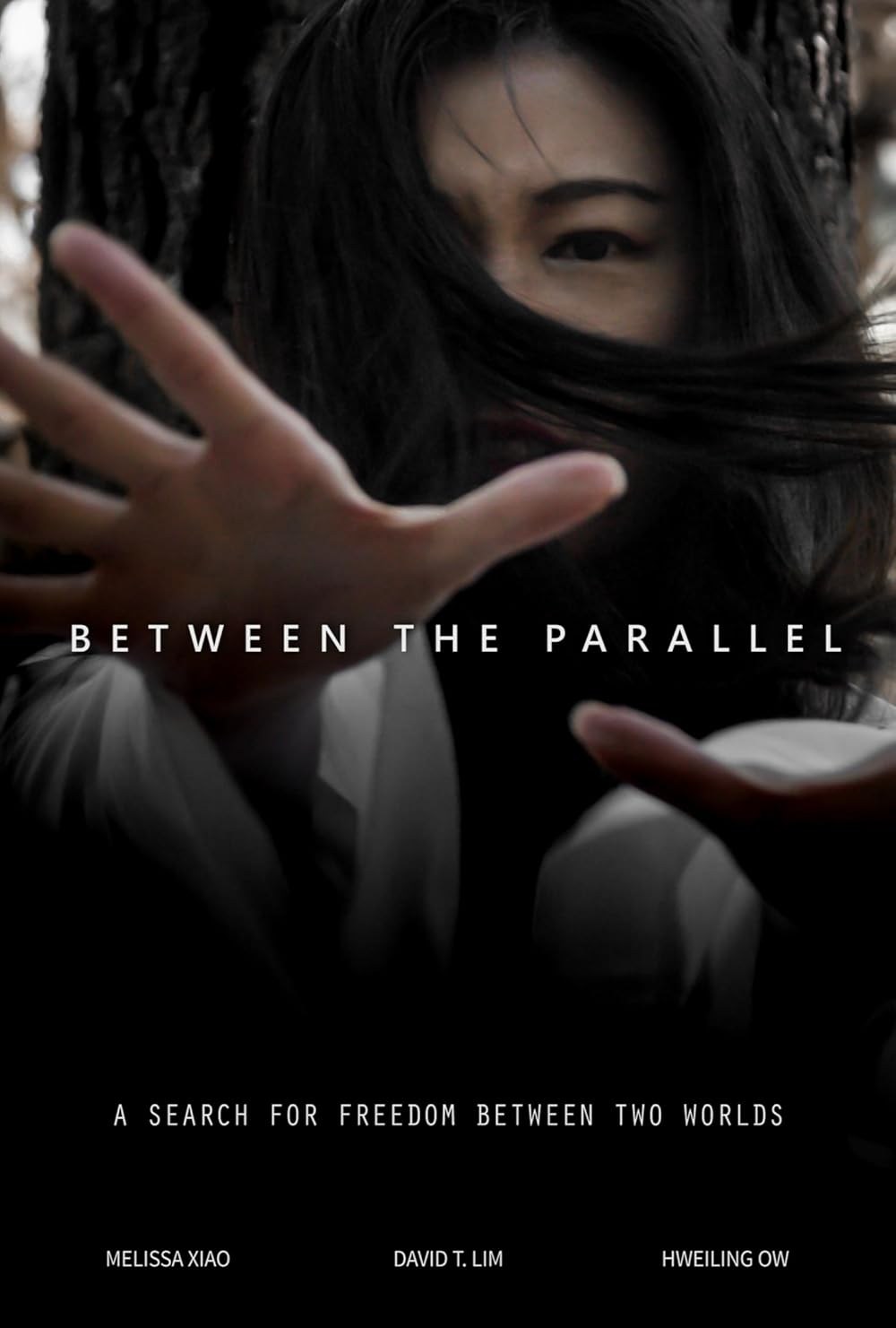 Poster de BETWEEN THE PARALLEL