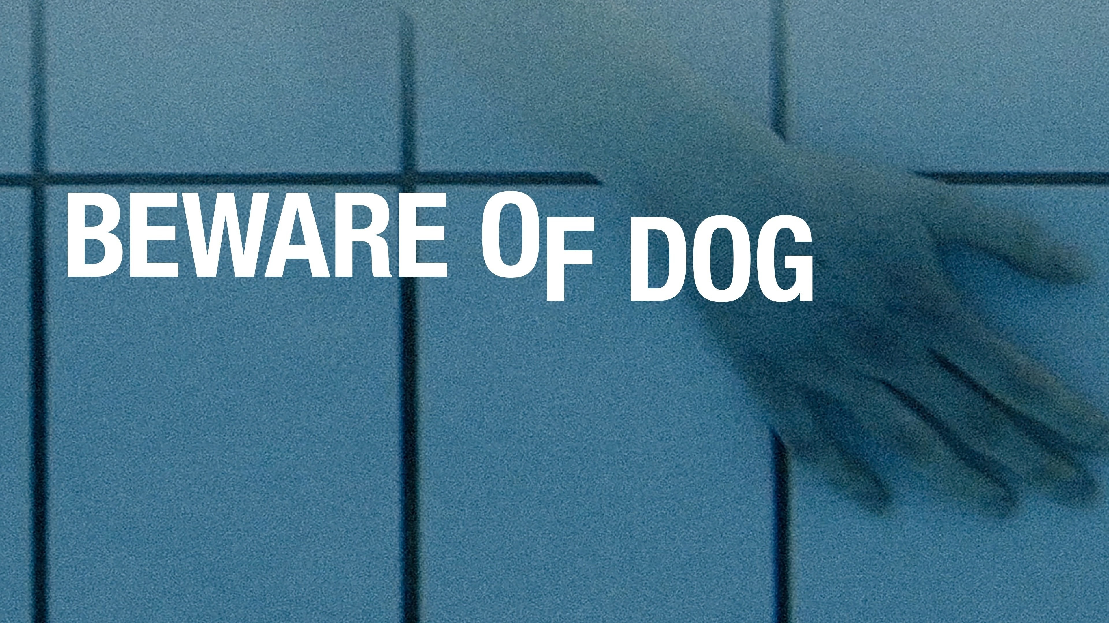 Foto de BEWARE OF DOG