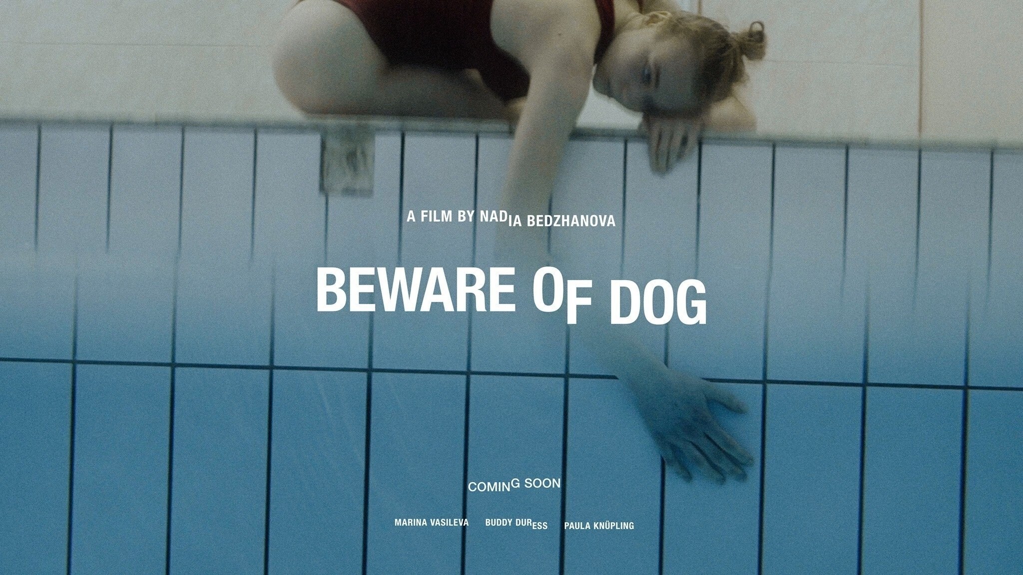 Foto de BEWARE OF DOG
