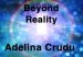 Beyond Reality