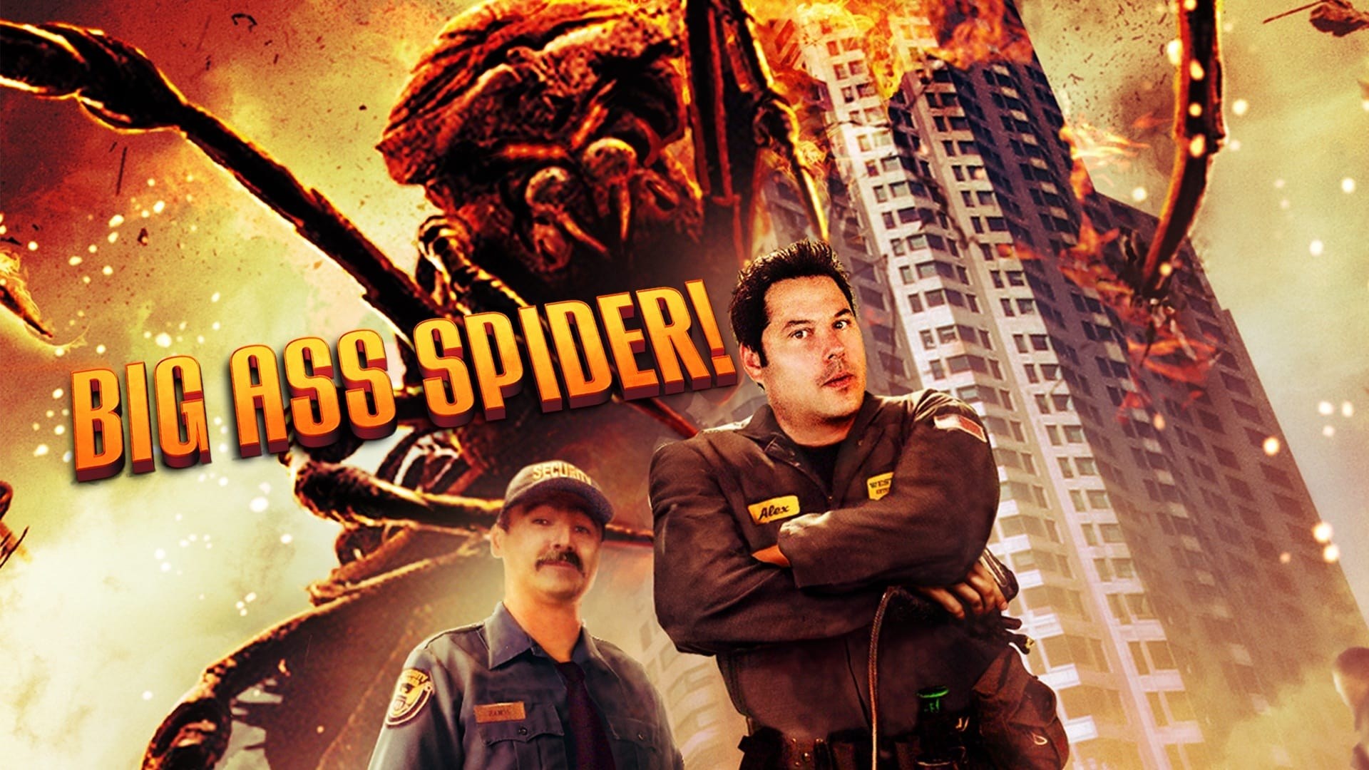 Foto de BIG ASS SPIDER!