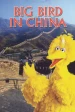 Película Big Bird in China