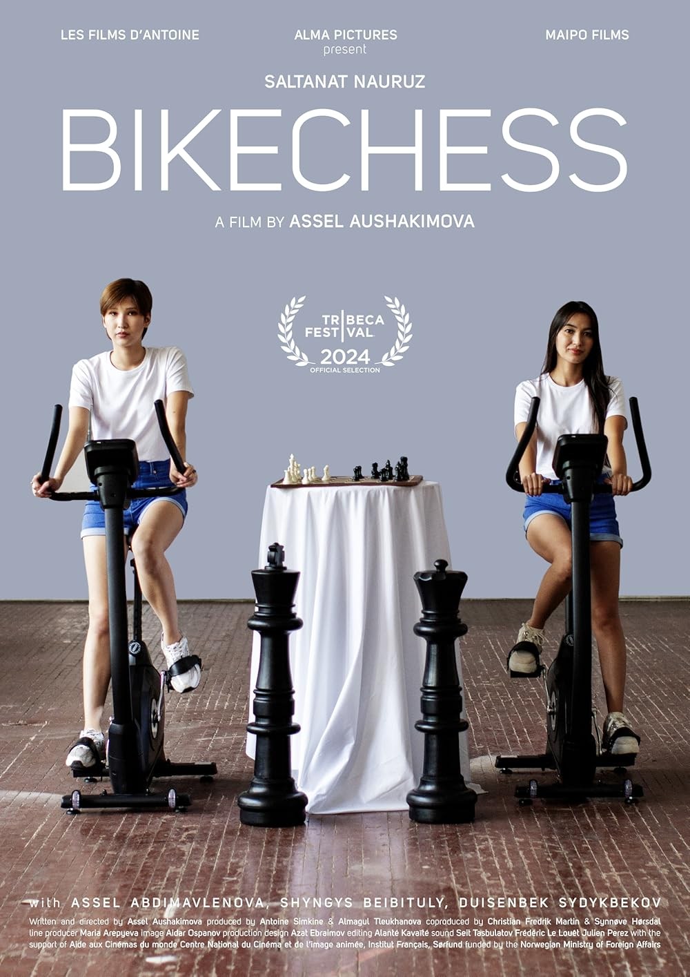 Poster de BIKECHESS