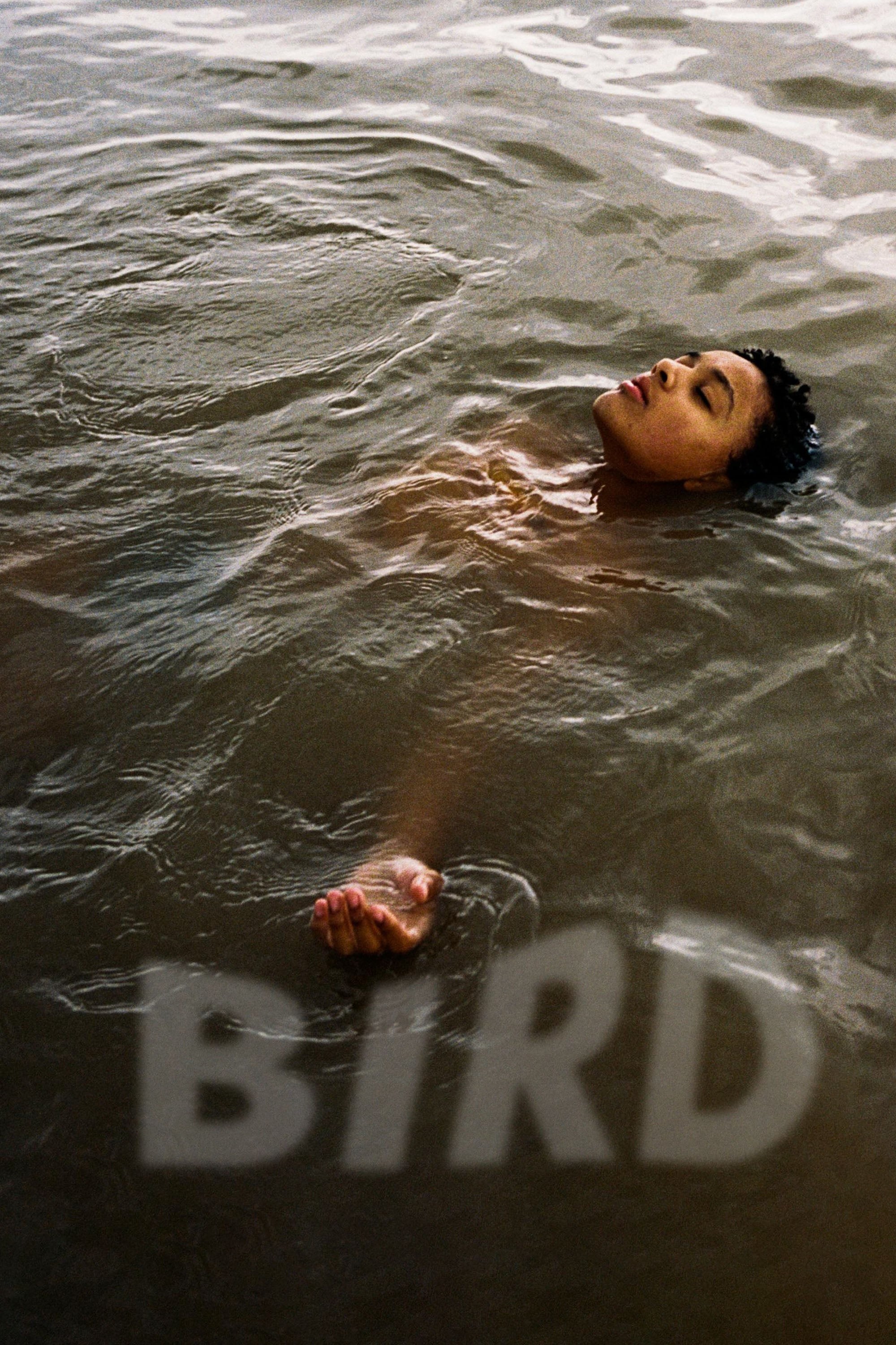 Poster de BIRD para 