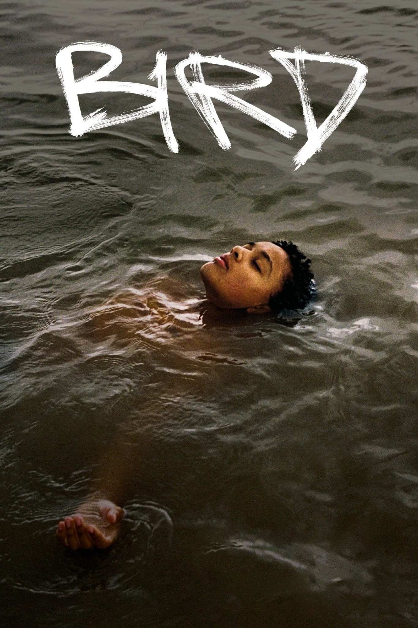 Poster de BIRD