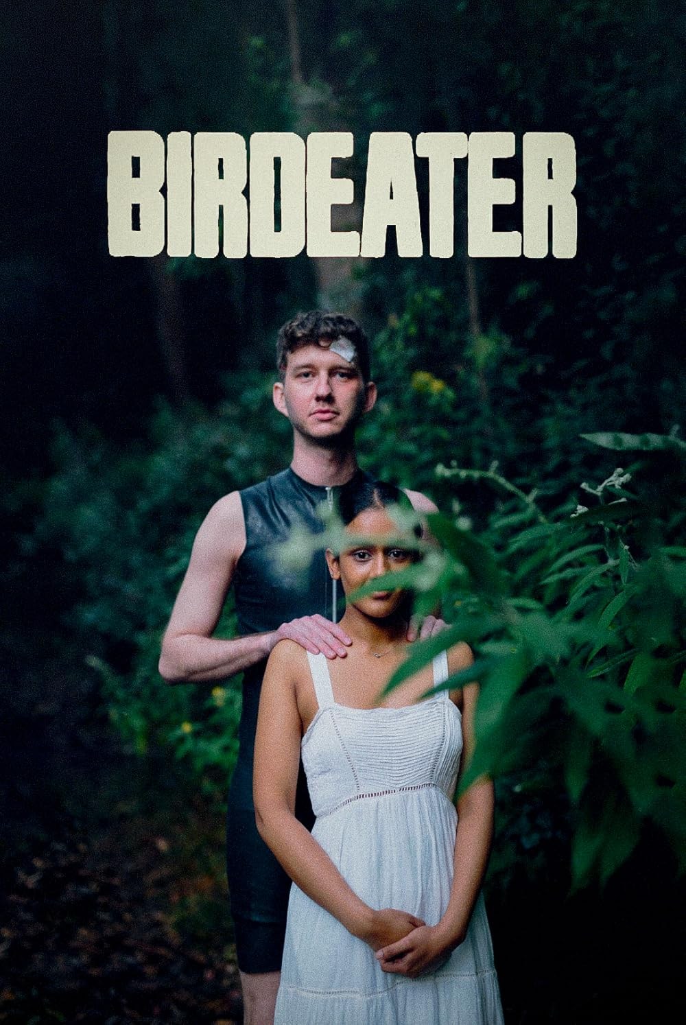 Poster de BIRDEATER