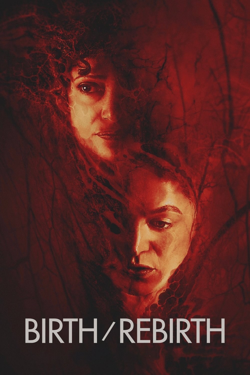 Poster de BIRTH/REBIRTH en inglés